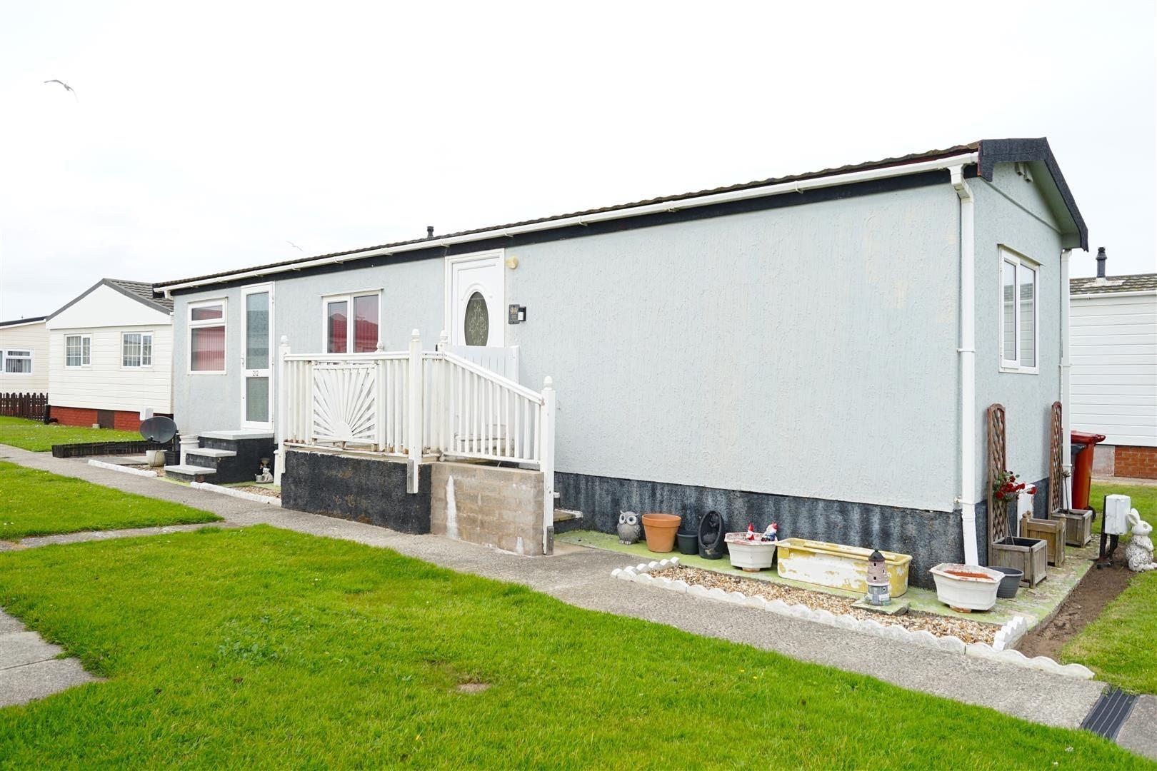 p1_2.jpg